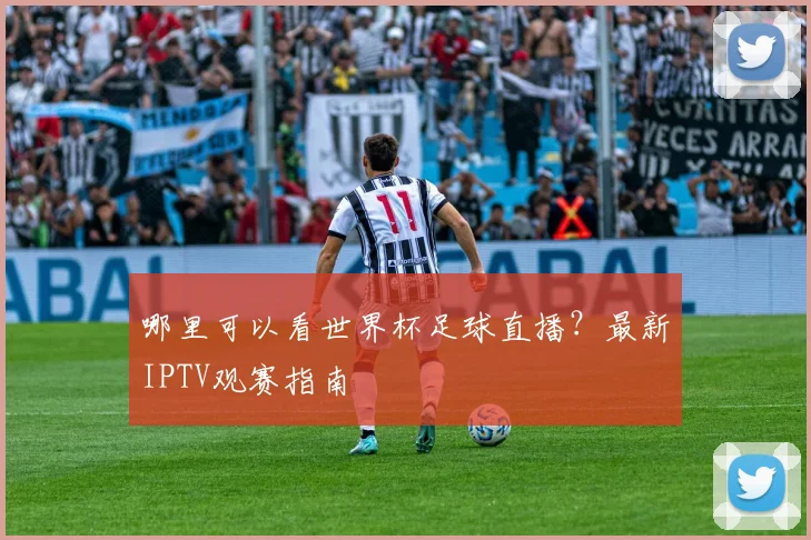 哪里可以看世界杯足球直播？最新IPTV观赛指南