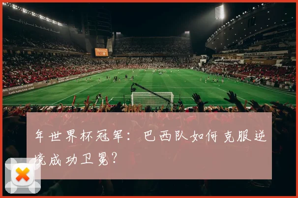 年世界杯冠军：巴西队如何克服逆境成功卫冕？