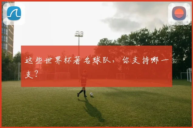 这些世界杯著名球队，你支持哪一支？