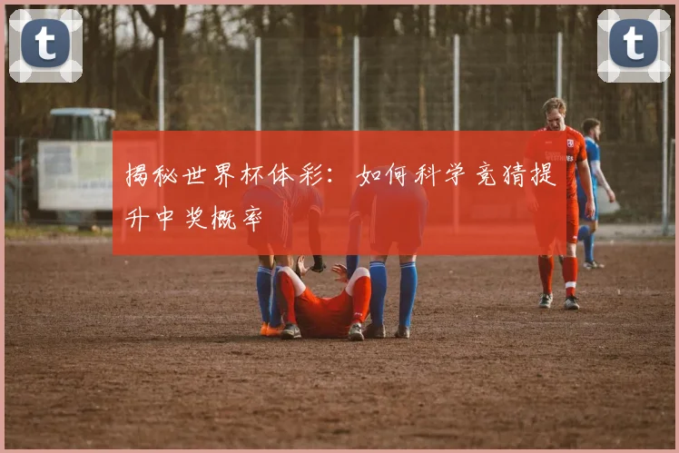 揭秘世界杯体彩：如何科学竞猜提升中奖概率