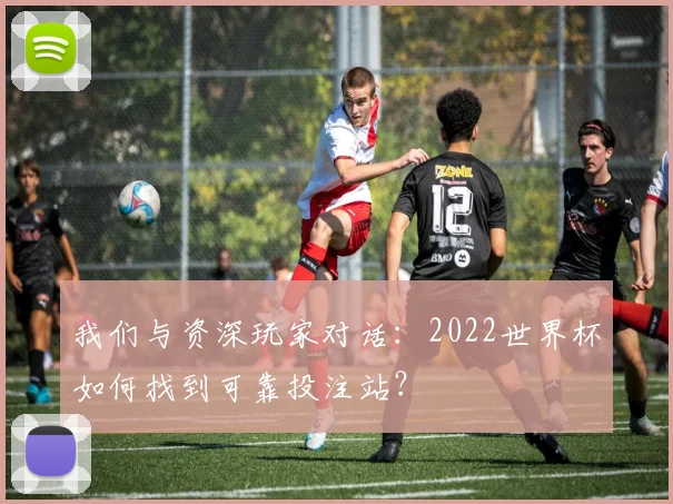 我们与资深玩家对话：2022世界杯如何找到可靠投注站？
