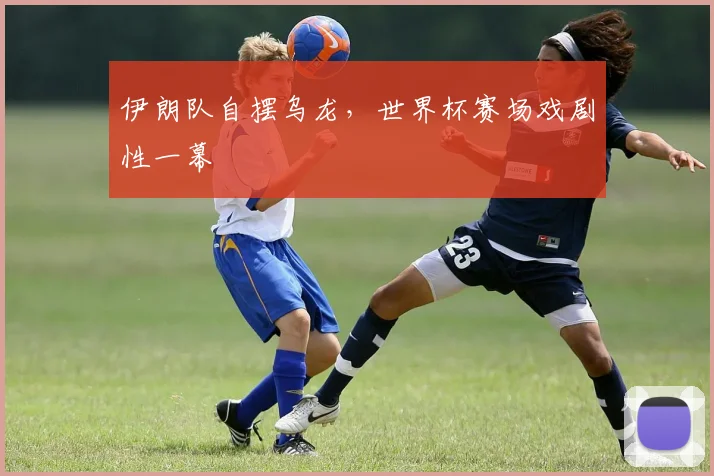 伊朗队自摆乌龙，世界杯赛场戏剧性一幕