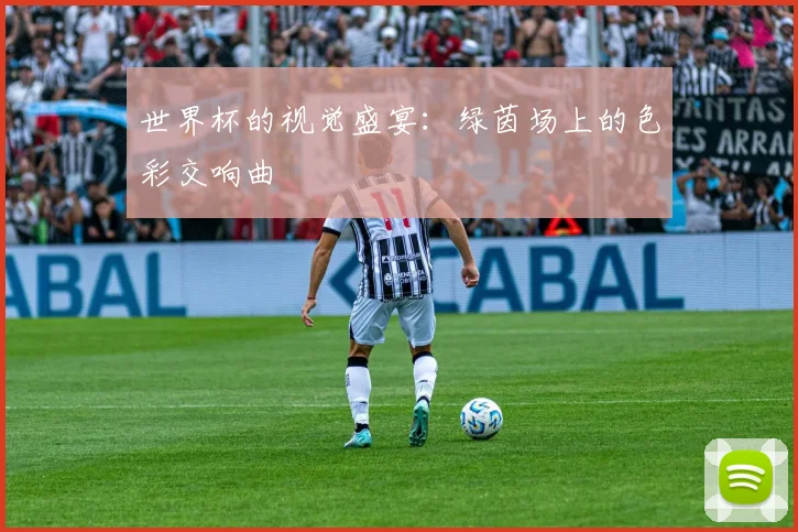 世界杯的视觉盛宴：绿茵场上的色彩交响曲