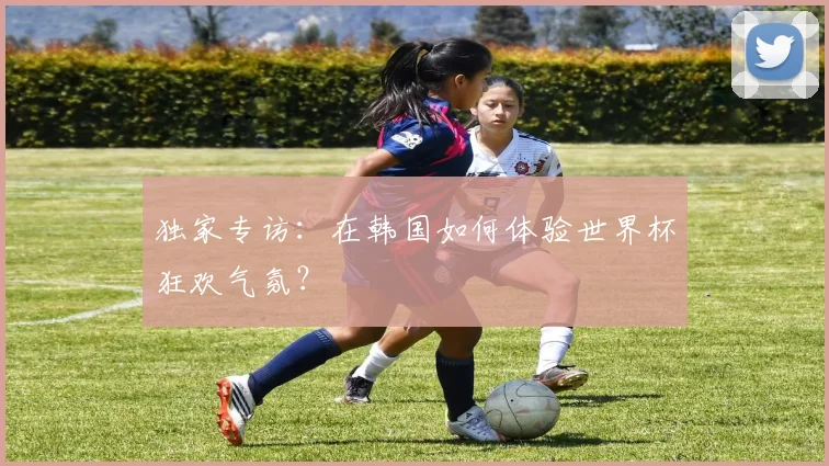 独家专访：在韩国如何体验世界杯狂欢气氛？