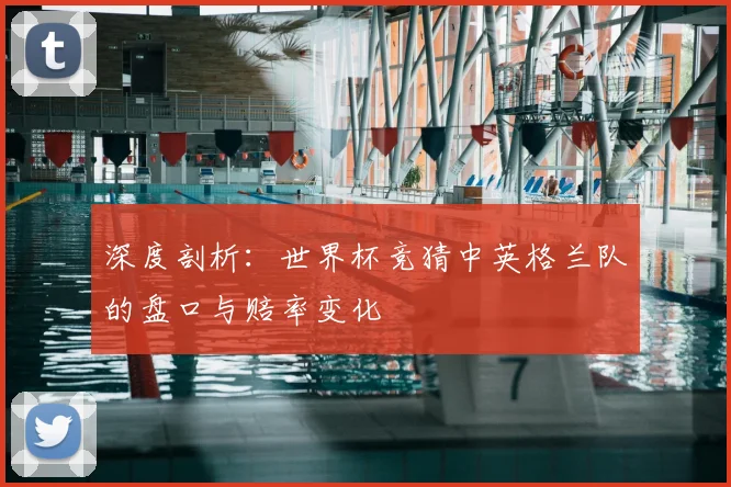 深度剖析：世界杯竞猜中英格兰队的盘口与赔率变化