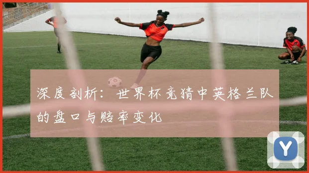深度剖析：世界杯竞猜中英格兰队的盘口与赔率变化